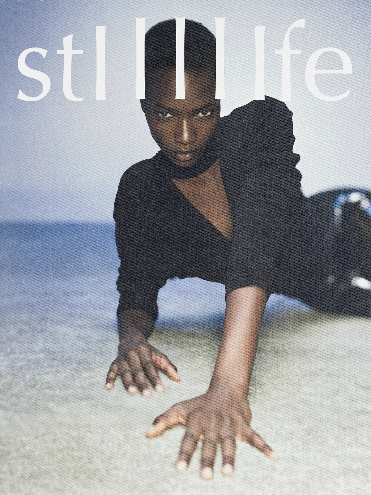 stilllife — image 5